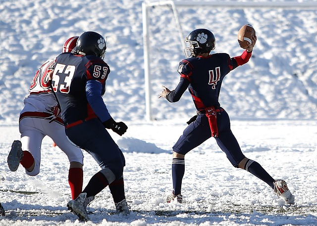 是他们网球 是他们网球